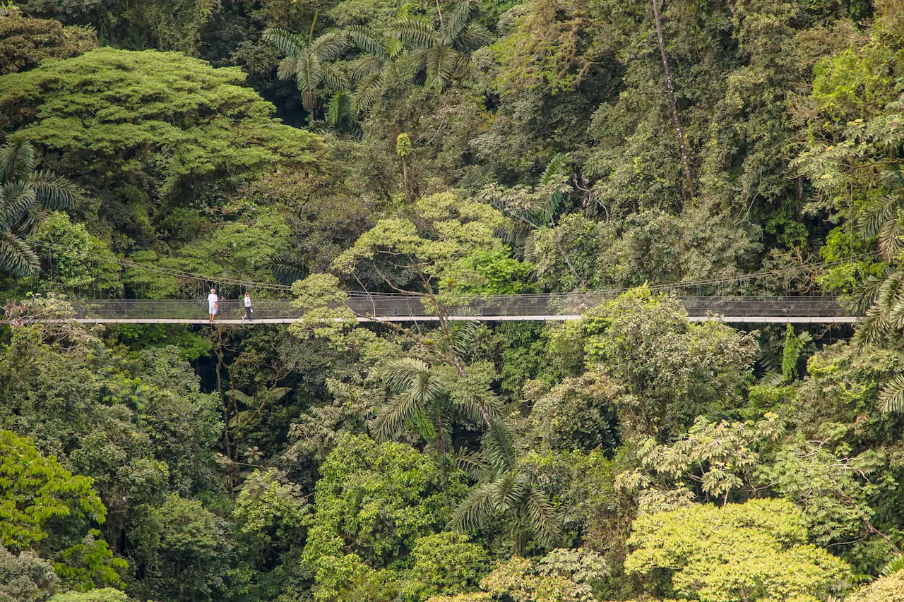 Rainforest hiking hanging bridges Costa Rica