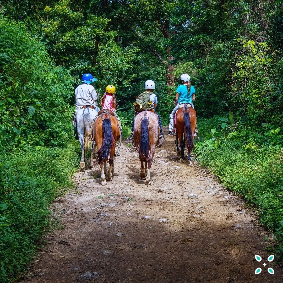 Buena  vista del Rincón photo 6