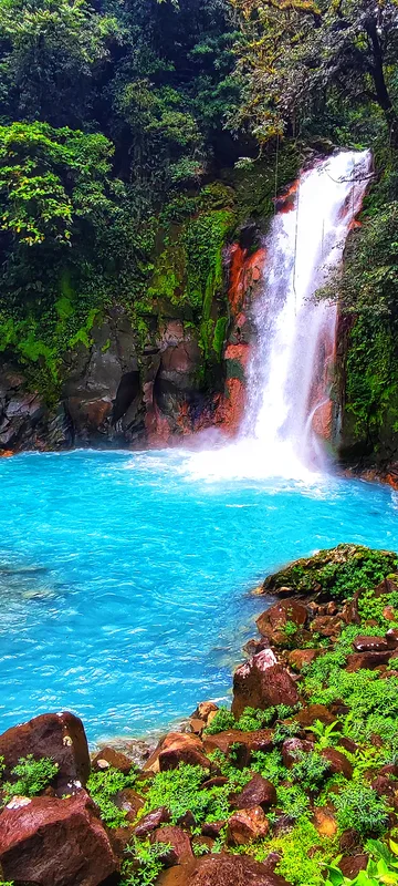 The blue waterfall at Río Celeste inside Tenorio National Park