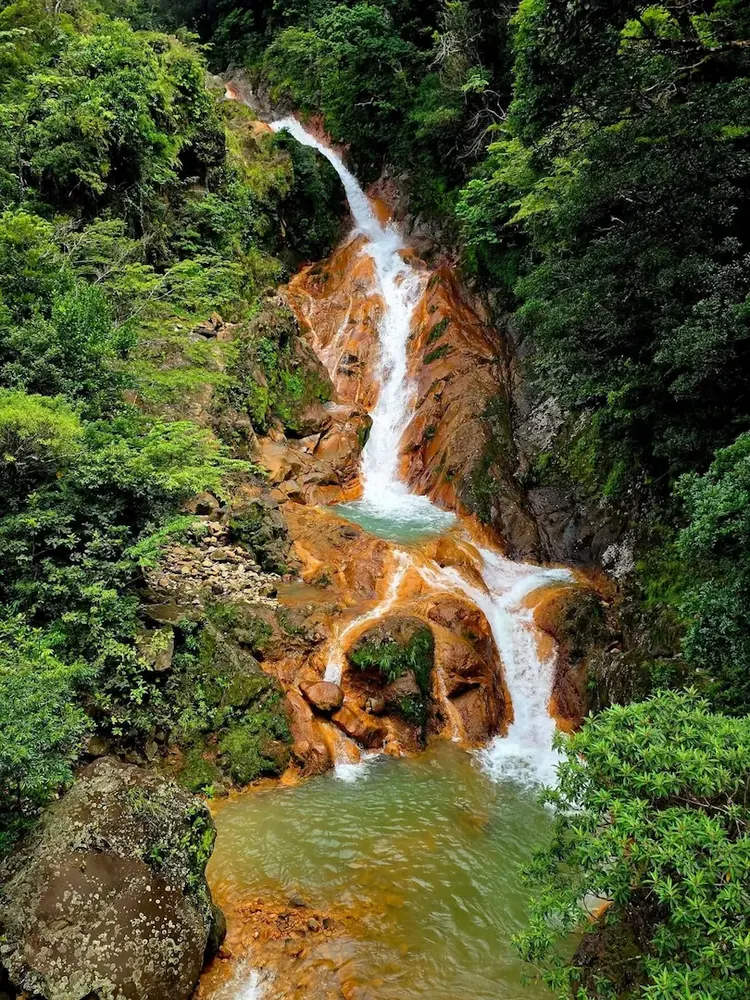 Costa Rica Highlights, 7-day private journey through rainforests, volcanoes and coast
