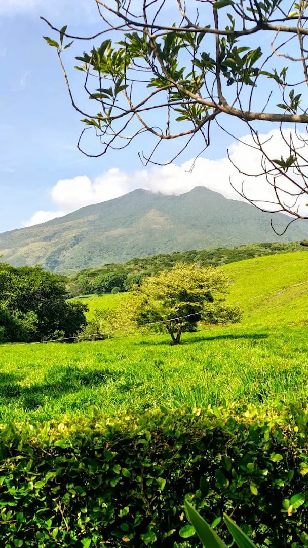 Lush forest trail near Miravalles Volcano waterfalls