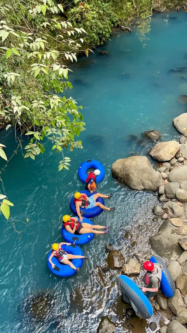 Wildlife observed during Río Celeste tubing, birds and monkeys